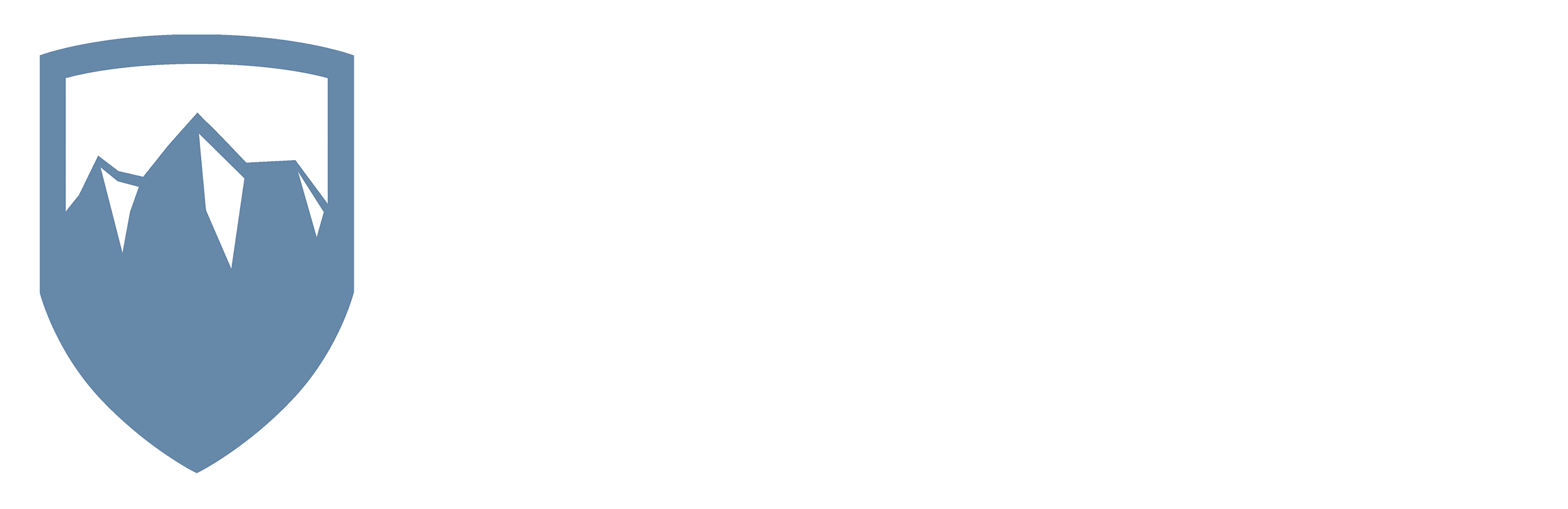 Alpine Cyber Solutions